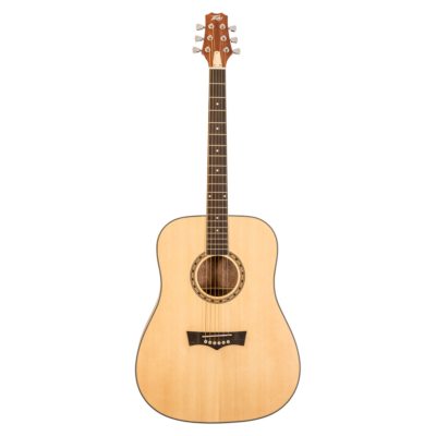 GUITARRA ACUSTICA PEAVEY DW1