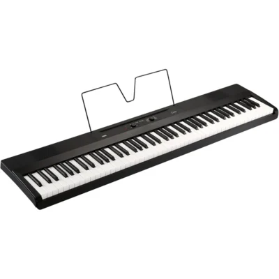 Korg L1 Piano Digital Liano, Negro