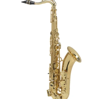 Selmer Saxo Tenor Axos Engraved