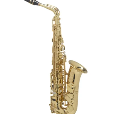 Selmer Saxo Alto Axos Gold Engraved