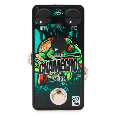 CALINE CHAMECHO DELAY